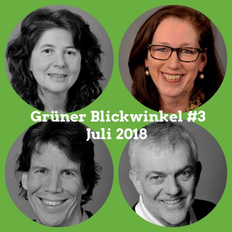 Grüner Blickwinkel 07/2018