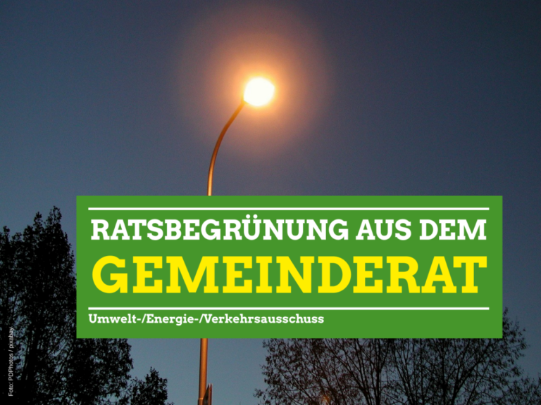 Mögliche Nachrüstung der Straßenbeleuchtung und Anfrage zum Bürgerinformationssystem