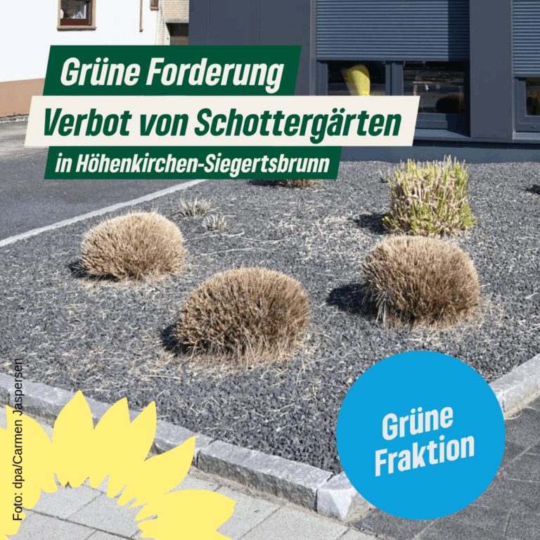 „Gärten des Grauens“: HöSi-Grüne gegen Schottergärten