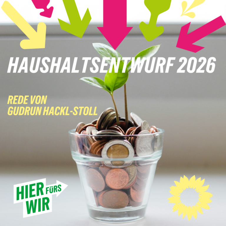 Rede im Gemeinderat bzgl. Haushaltsentwurf 2026